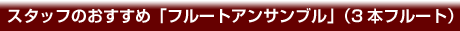 X^bt̂߁ut[gATuvi3{t[gj