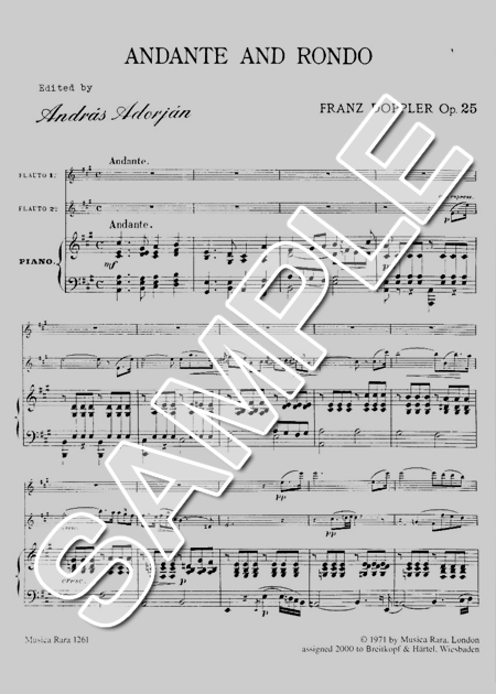 doppler andante and rondo program notes doppler andante and rondo program notes