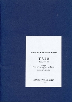 TRIO D-MOLL OP.11 (FLUTE PART ONLY) (ARR.MASHAYEKHI-BEER)