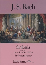 SINFONIA AUS DER KANTATE hNON SA CHE SIA DOLORE BWV209h
