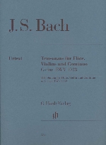 TRIOSONATE G-DUR BWV1038