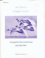 ALLEGRO MOLTO FROM SYMPHONY NO.5 (ARR.BEN-MEIR)