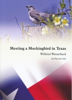 MEETING A MOCKINGBIRD IN TEXAS