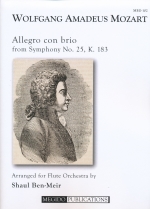 ALLEGRO CON BRIO FROM SYMPHONY NO.25 KV183, SCORE & PARTS (ARR.BEN-MEIR)