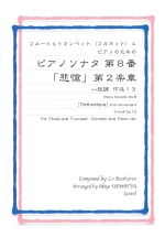 PIANO SONATA NO.8 [PATHEHIQUE] 2ND MOV. C-MOLL OP.13 (ARR:UEMATSU)
