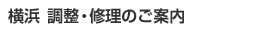 ���b�X���Z���^�[���l �����E�C���̂��ē�