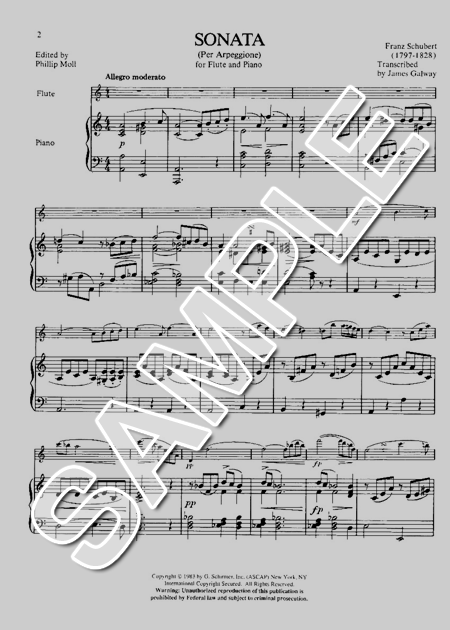 訳あり福袋 送料無料 セール わけあり 福袋 レディ ムラマツフルート｜SONATA(ARPEGGIONE) (ED.GALWAY): 楽譜 その他