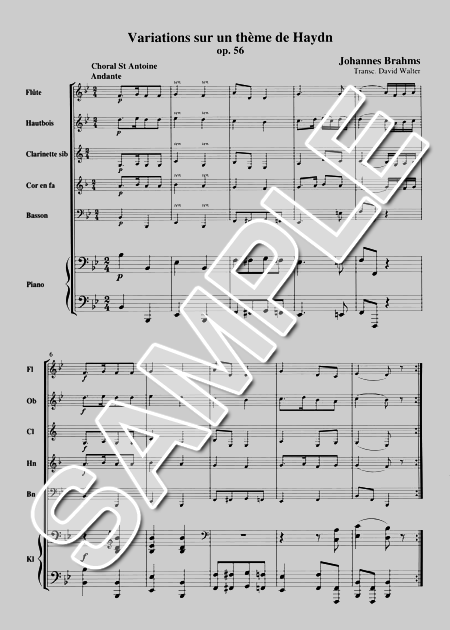 ムラマツフルート｜VARIATIONS SUR UN THEME DE HAYDN OP.56 (5W.P