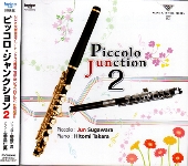 PICCOLO JUNCTION 2