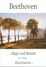 ALLEGRO UND MENUETT, WOO26, SCORE