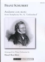 ANDANTE CON MOTO FROM SYMPHONY NO.8 hUNFINISHEDh (ARR.BEN-MEIR)