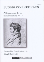 ALLEGRO CON BRIO (1ST MOV.) FROM hSYMPHONY NO.5h (ARR.BEN-MEIR)