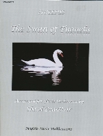 THE SWAN OF TUONELA (ARR.BEN-MEIR)