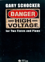 DANGER : HIGH VOLTAGE