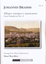 ALLEGRO ENERGICO E PASSIONATO : 4TH MOV. FROM SYMPHONY NO.4 (ARR.BEN-MEYR)@SCORE & PARTS