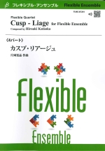 CUSP-LIAGE (FLEX)
